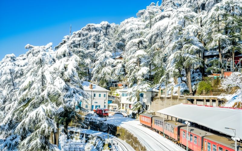 Snow Trails & Scenic Tales